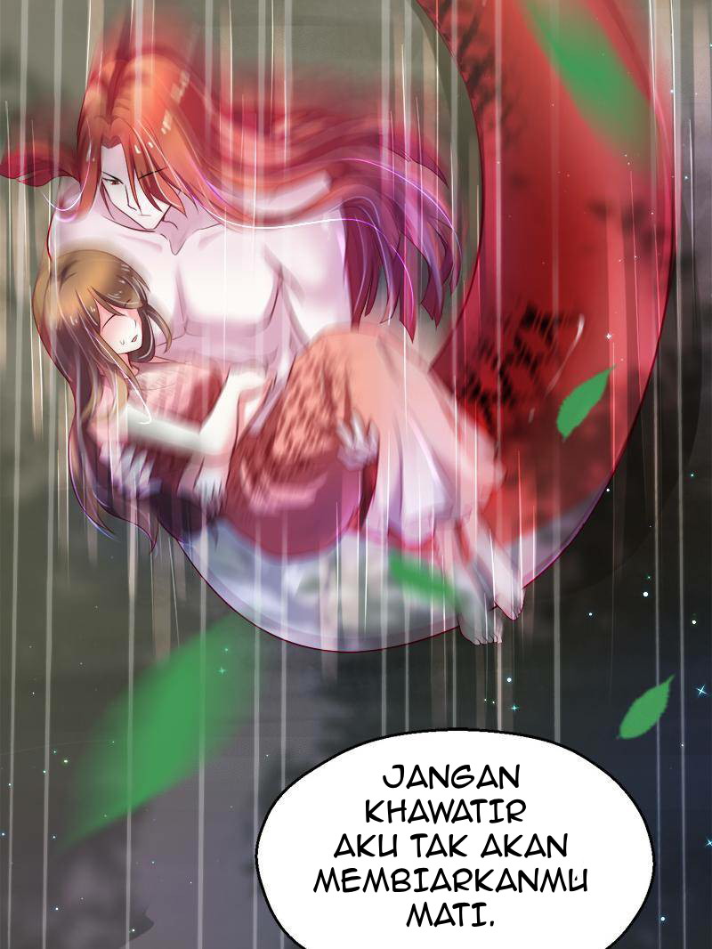 Chapter 26