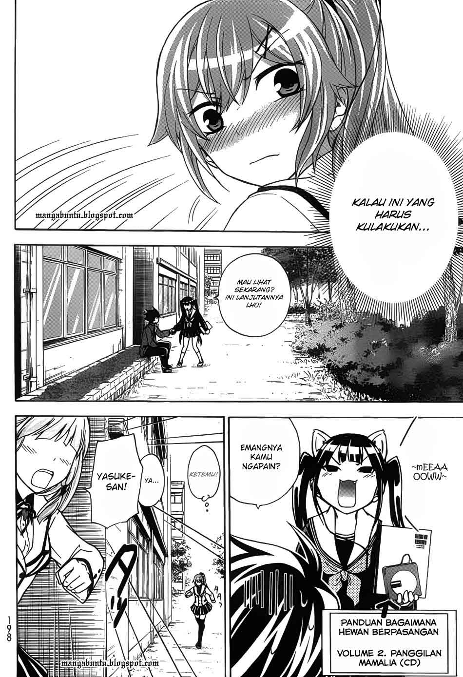 Chapter 12