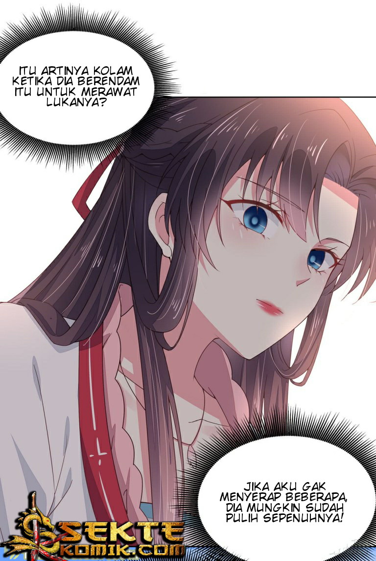Chapter 13