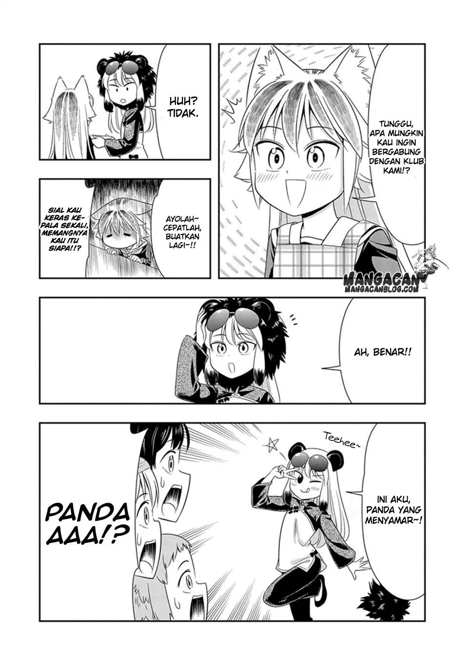 Chapter 23