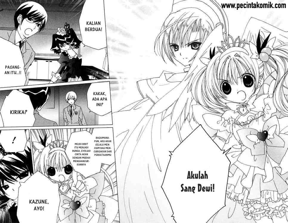 Chapter 14