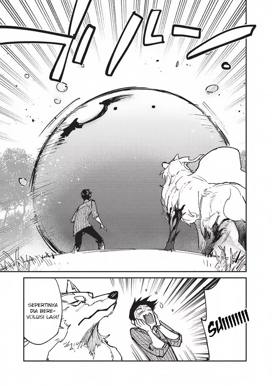 Chapter 19