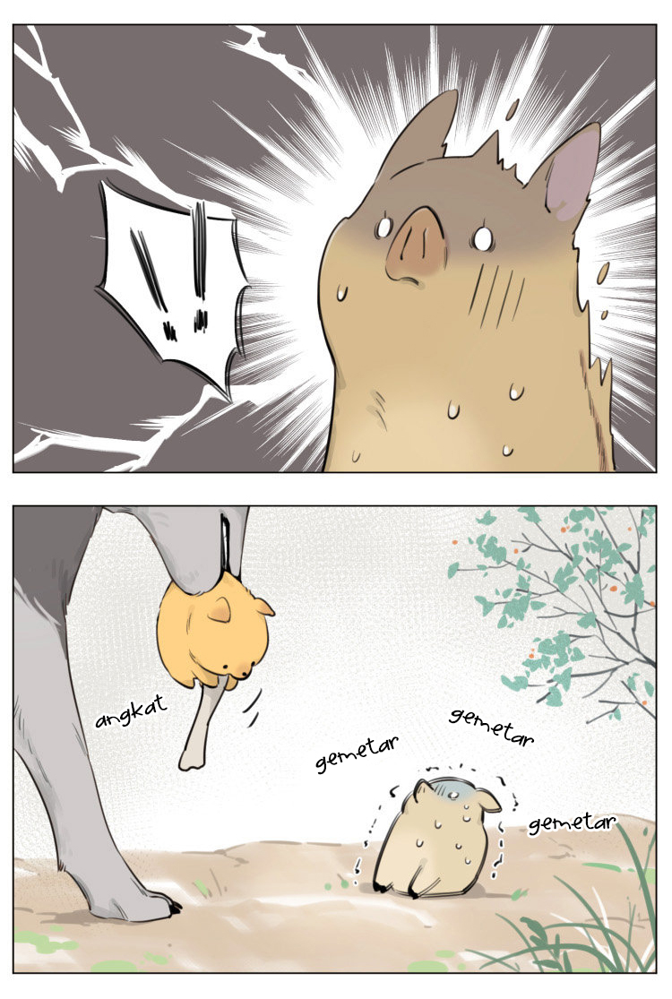 Chapter 11