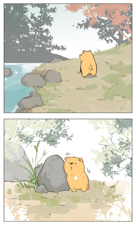 Chapter 13