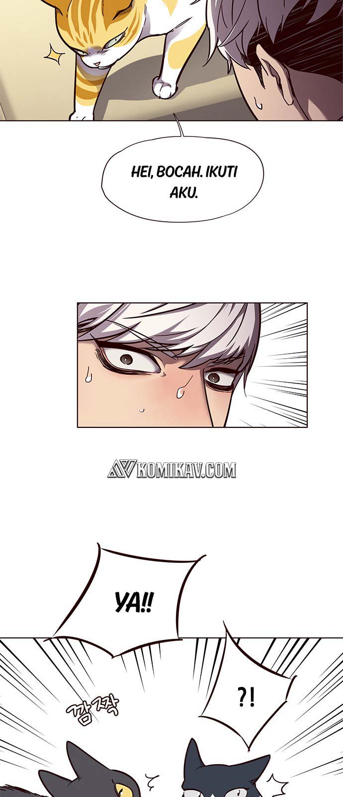 Chapter 50
