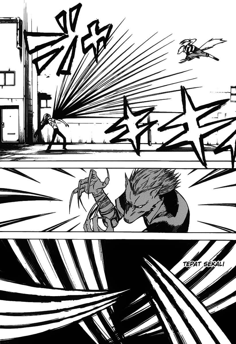 Chapter 14