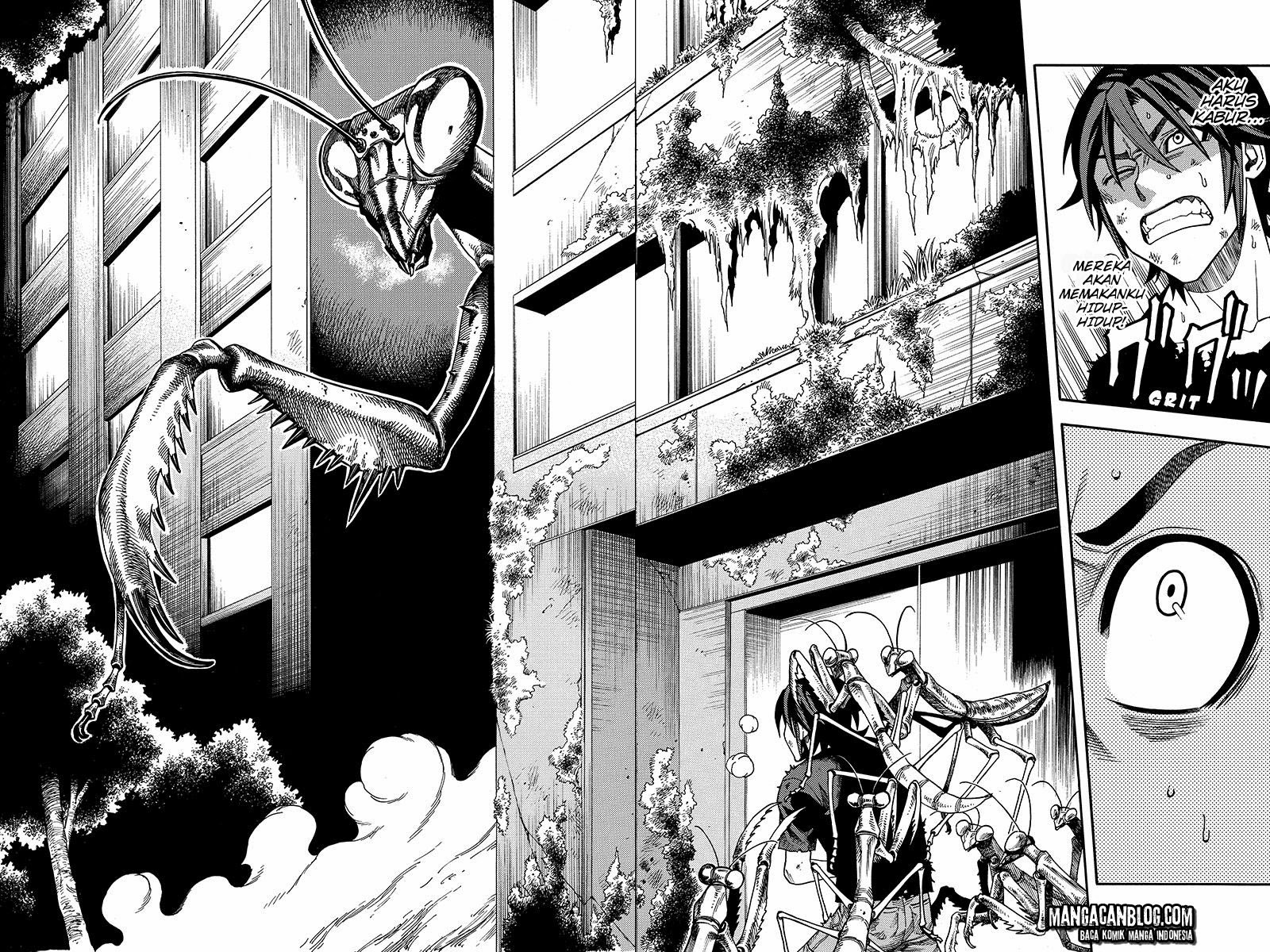 Chapter 15