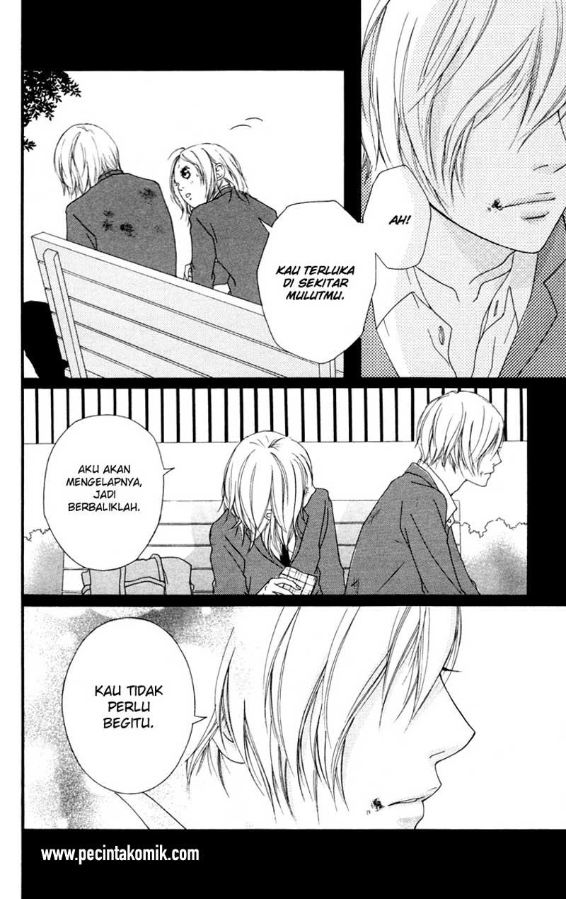 Chapter 33