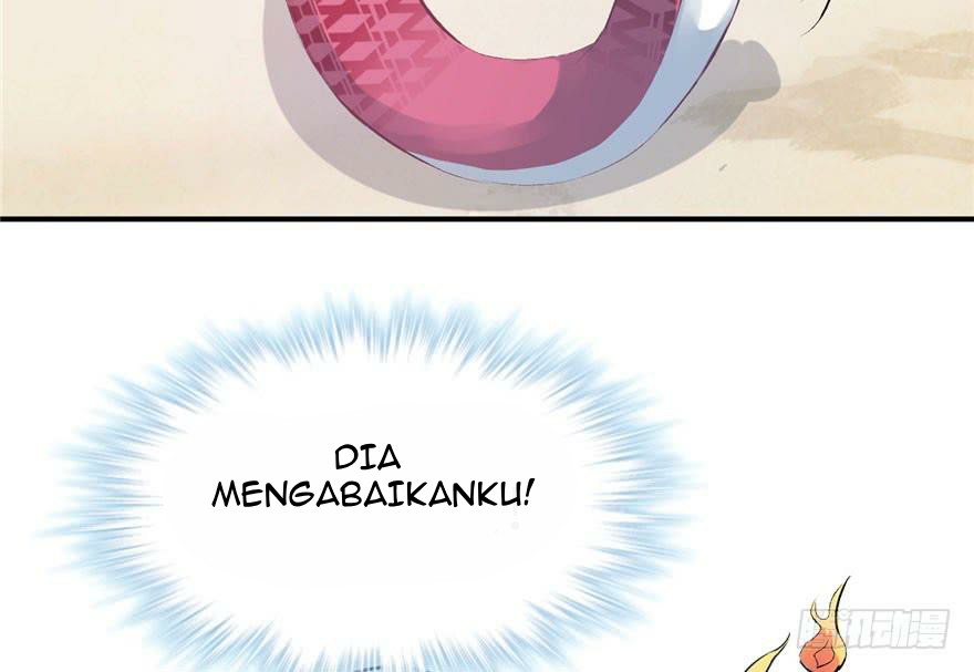 Chapter 51