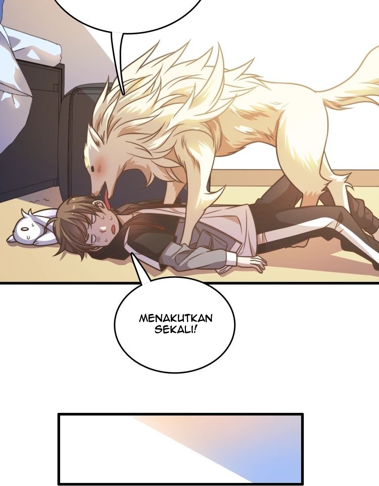 Chapter 15