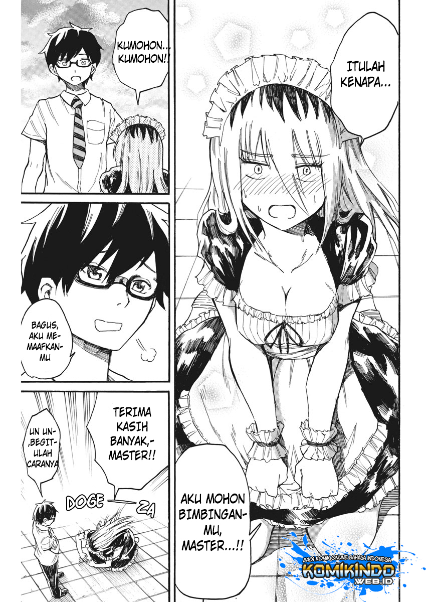 Chapter 13