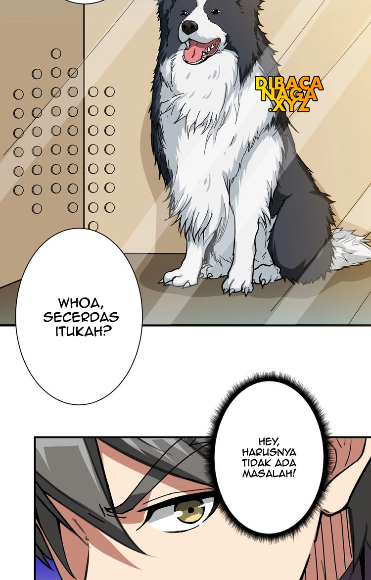 Chapter 66