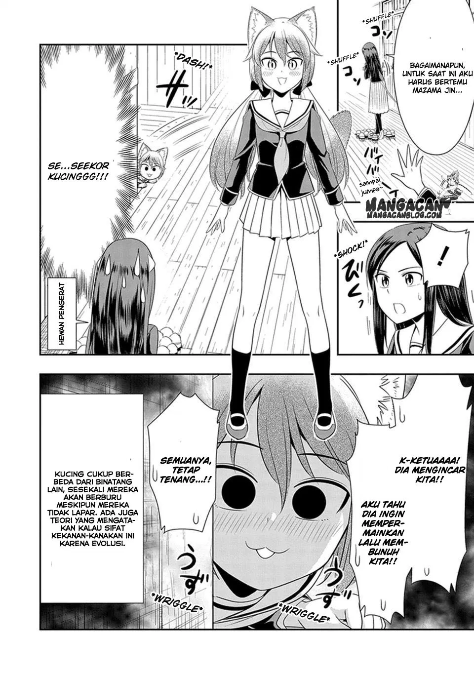 Chapter 16