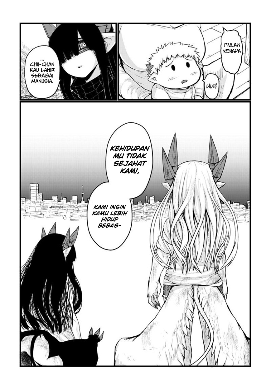 Chapter 19