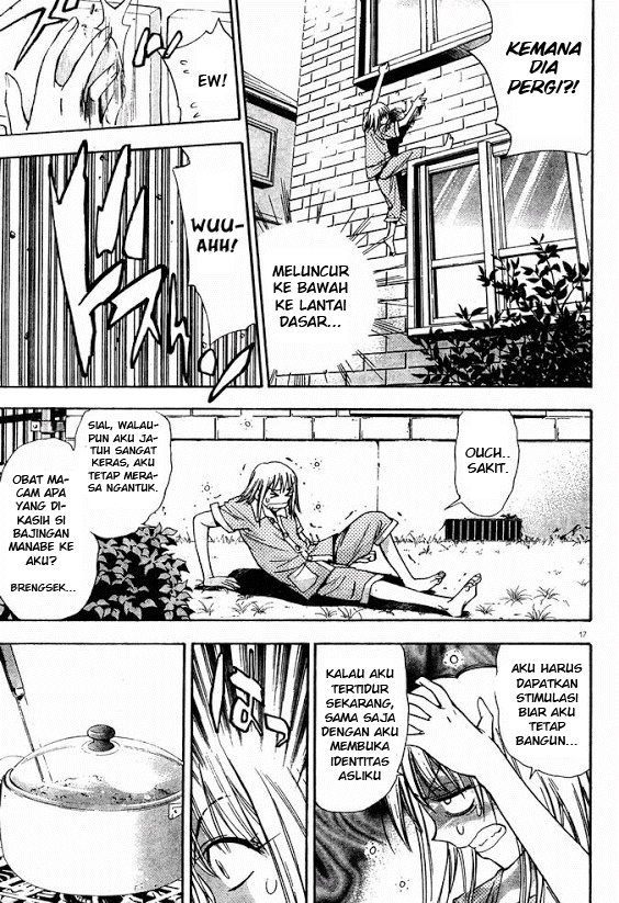 Chapter 13