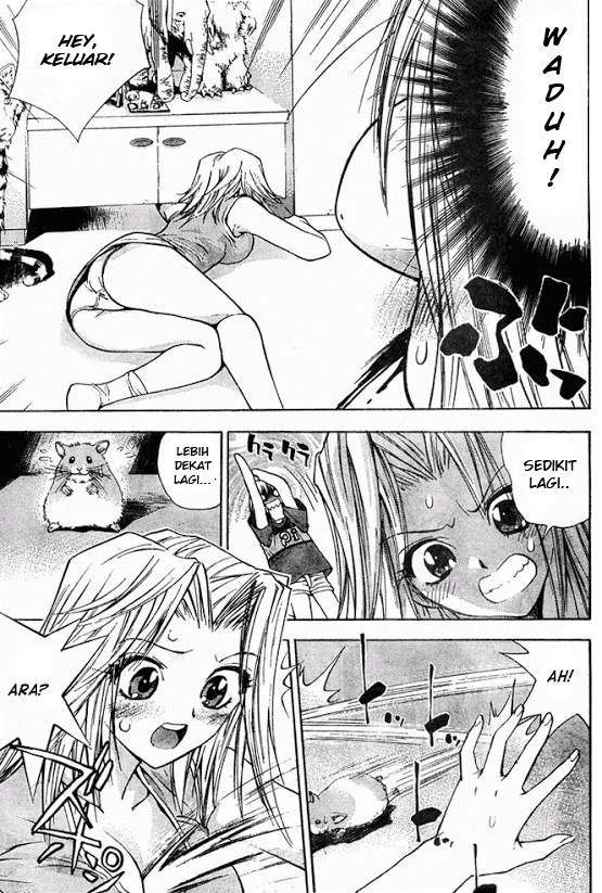 Chapter 14