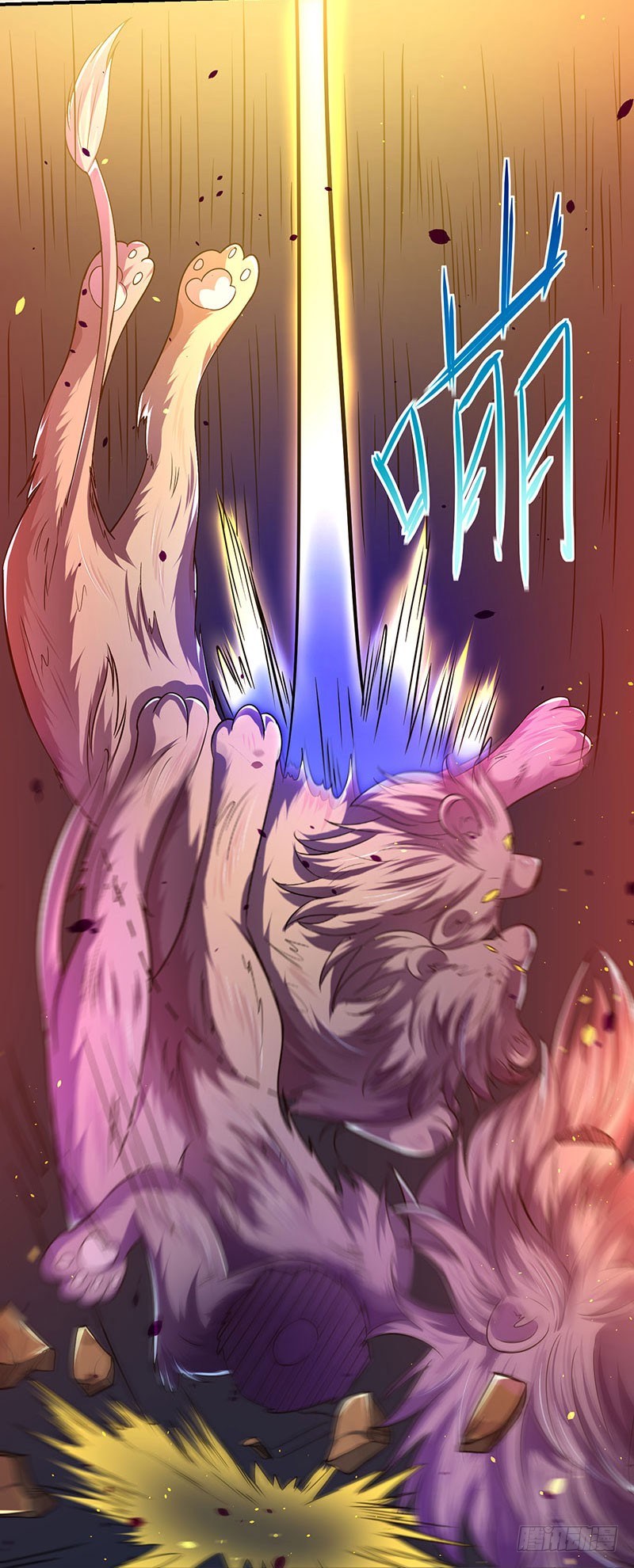 Chapter 5