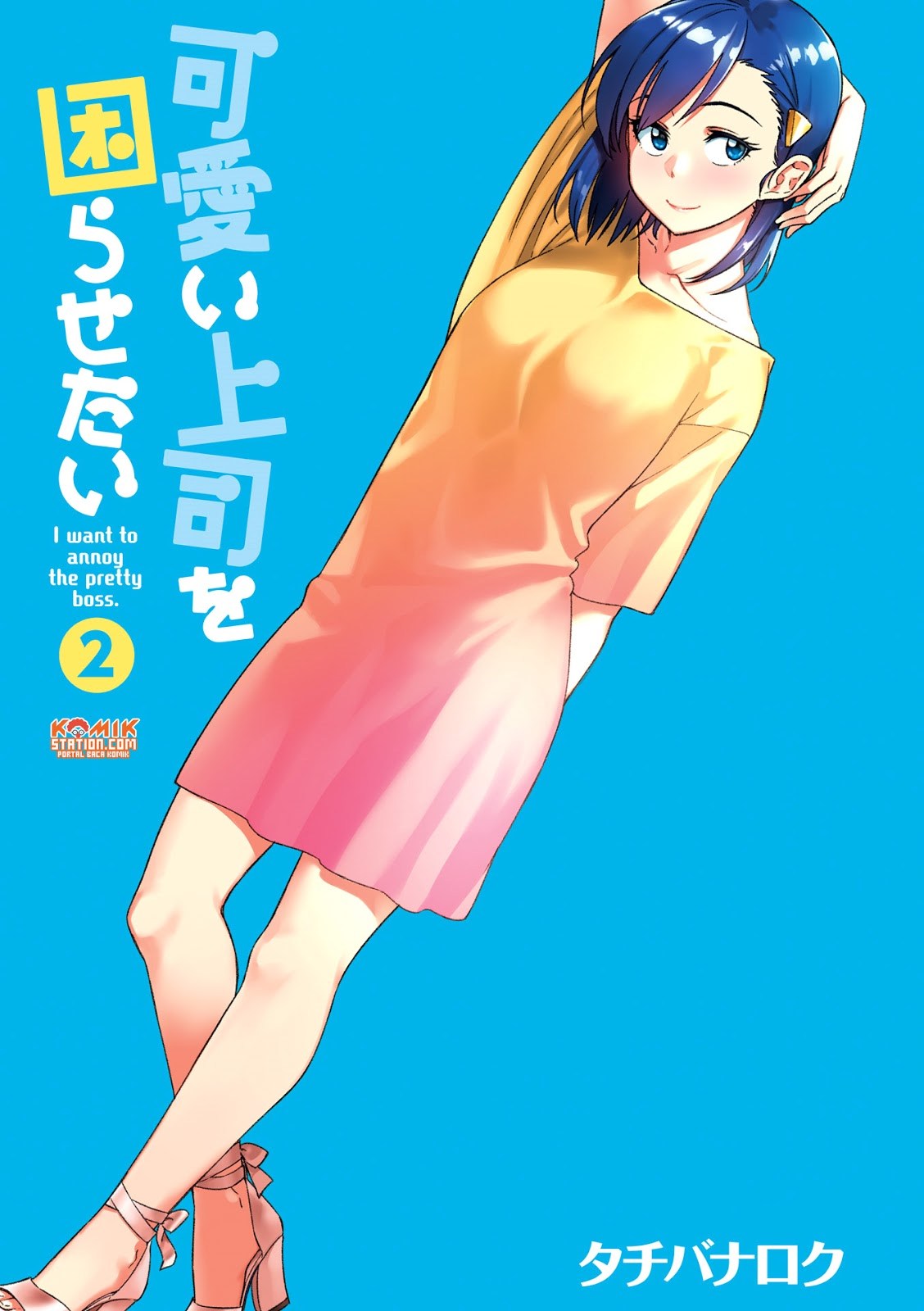 Chapter 15