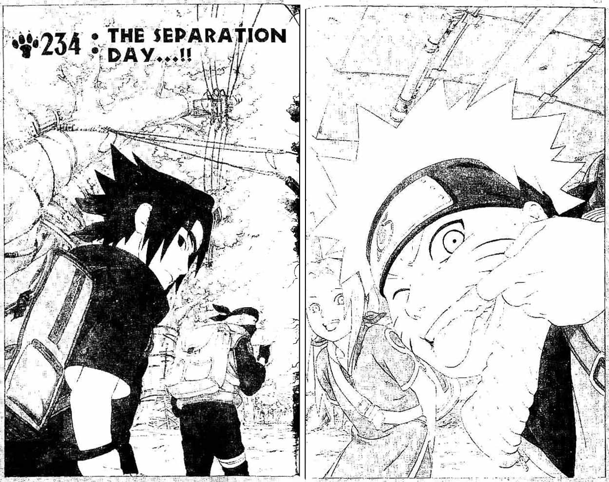 Chapter 234