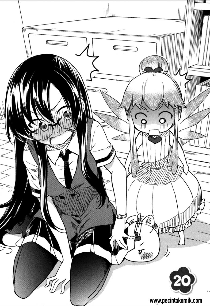Chapter 20