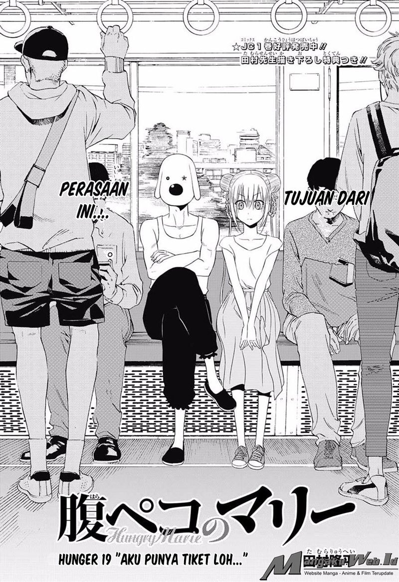 Chapter 19
