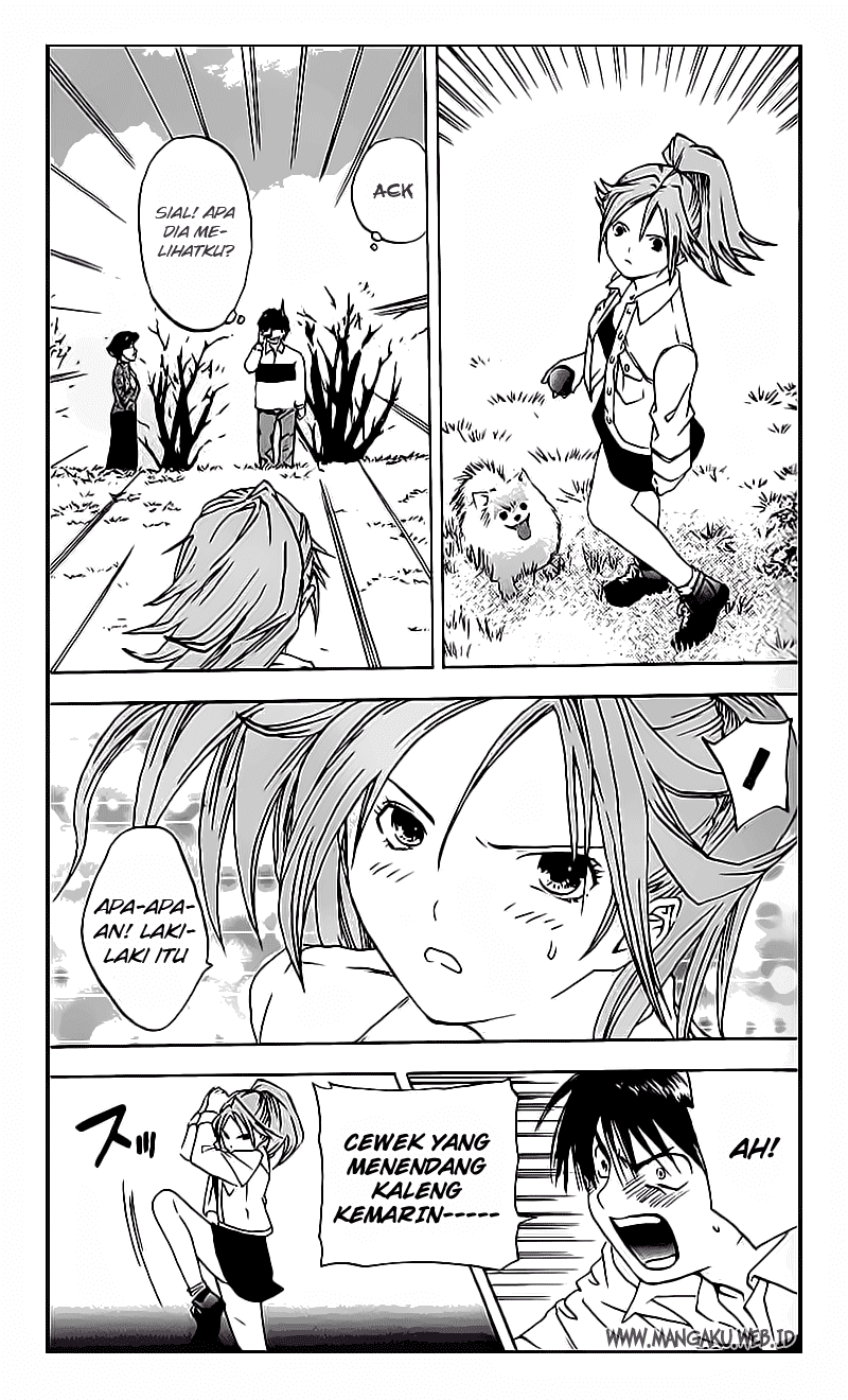 Chapter 19