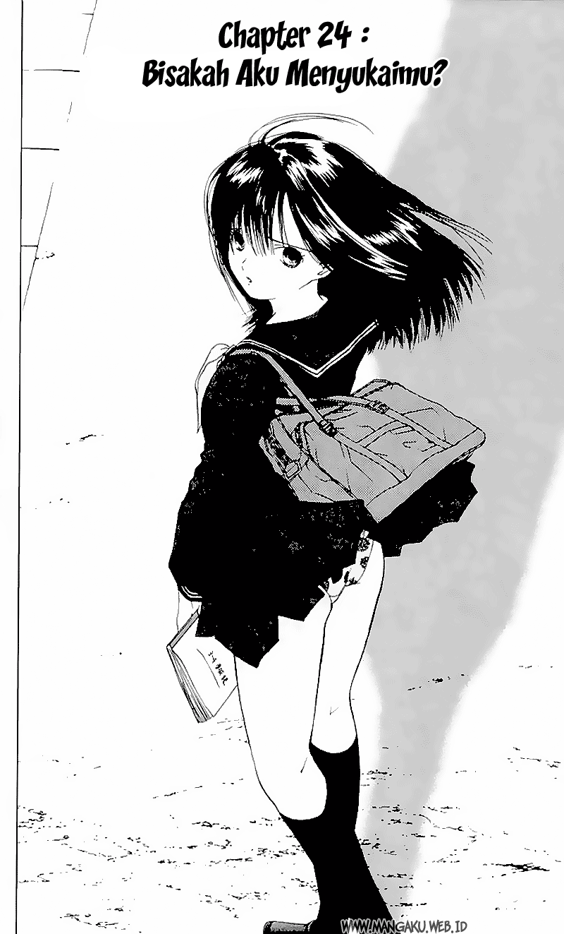 Chapter 24