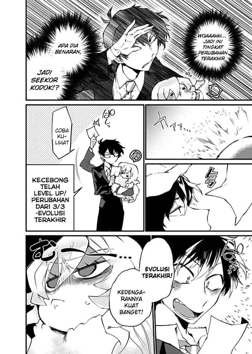 Chapter 15