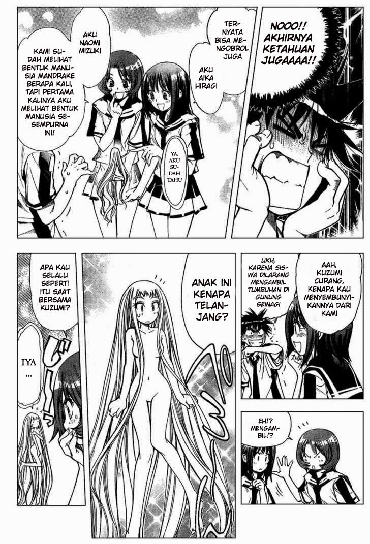 Chapter 81