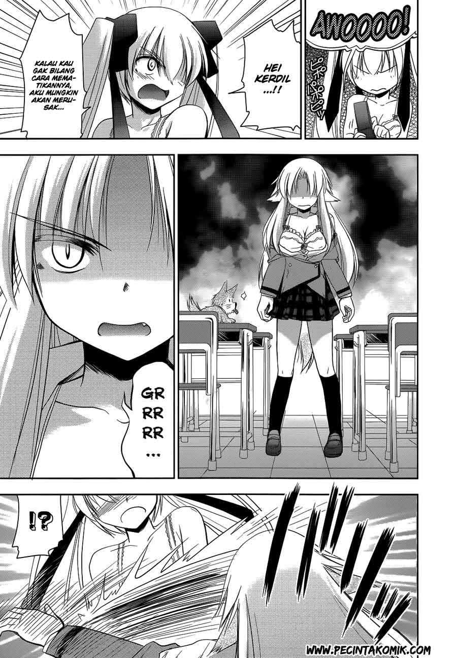 Chapter 15