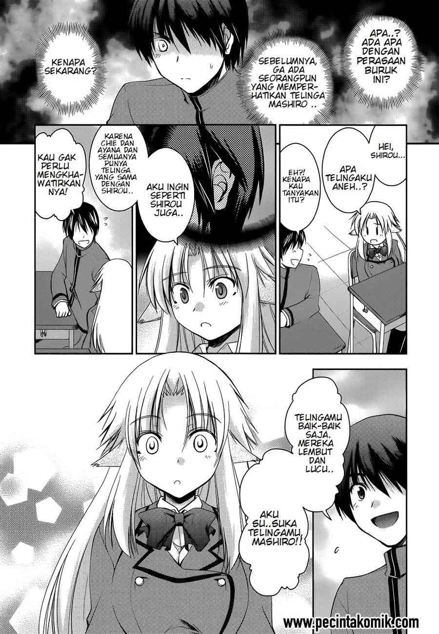 Chapter 16