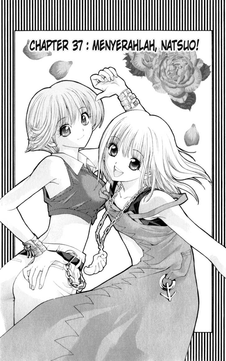 Chapter 37