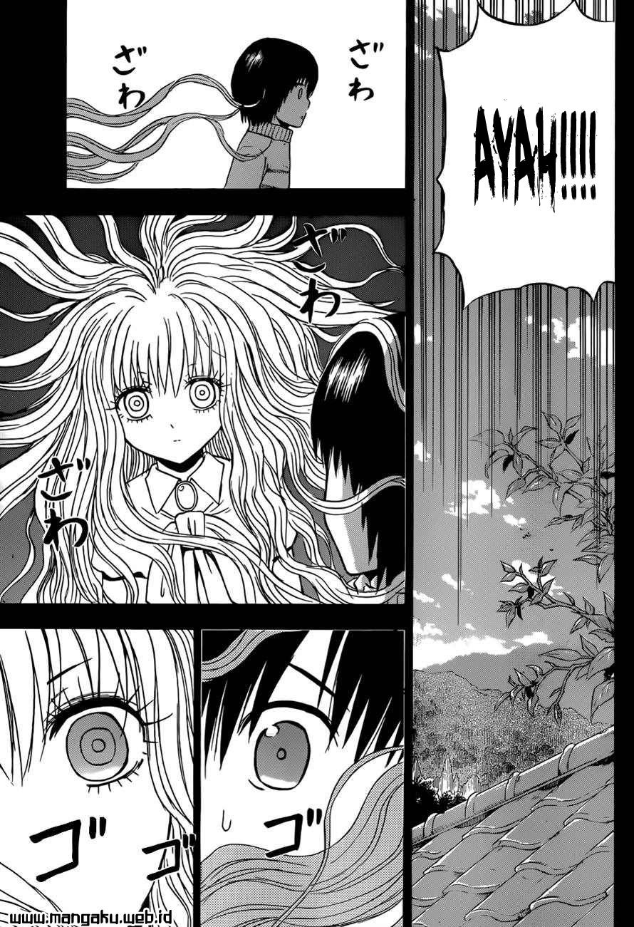 Chapter 213