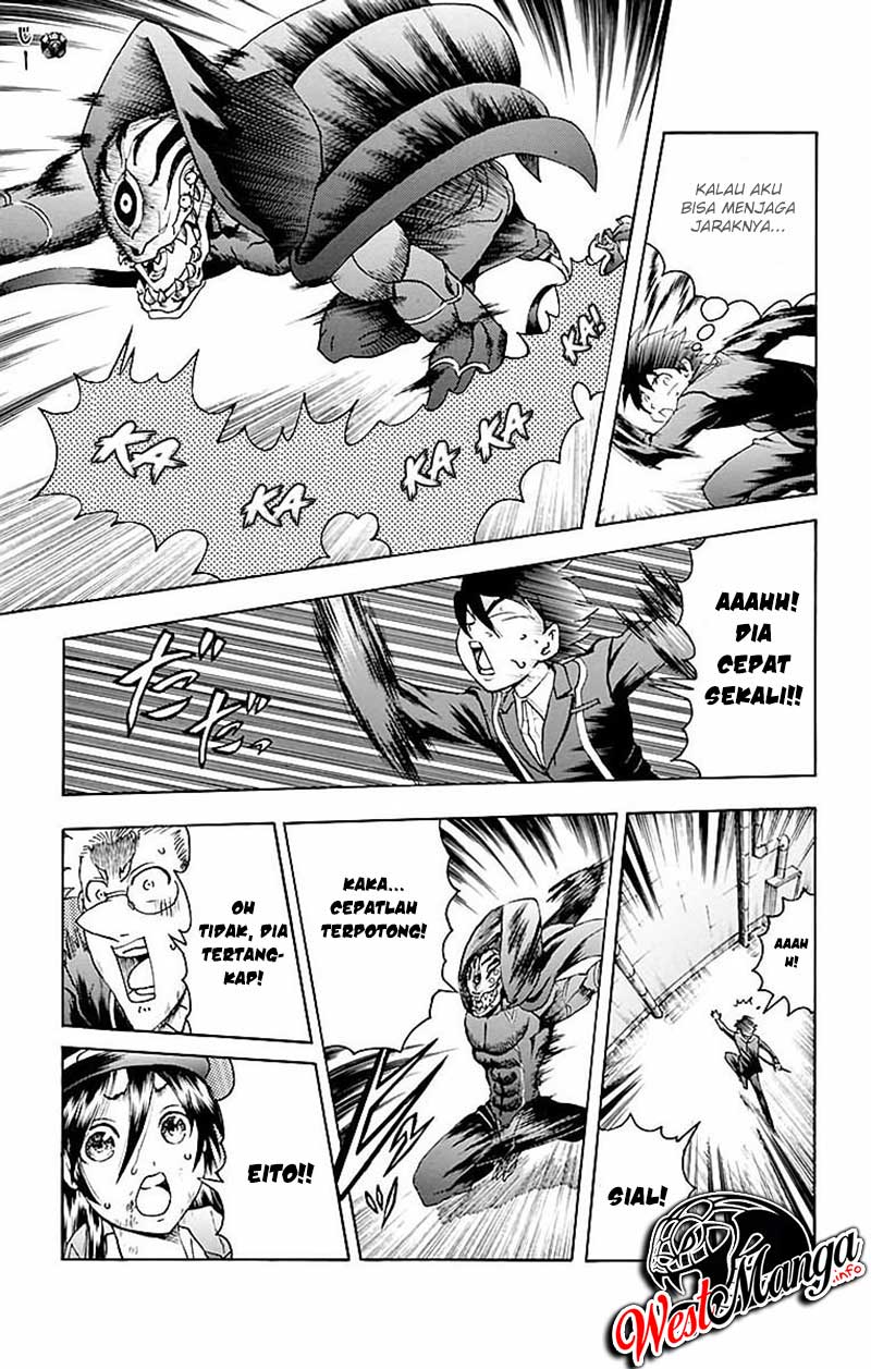 Chapter 31