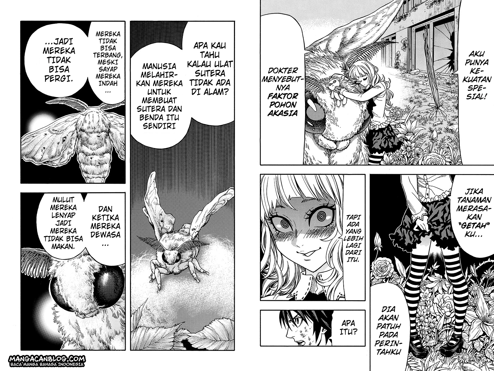 Chapter 38
