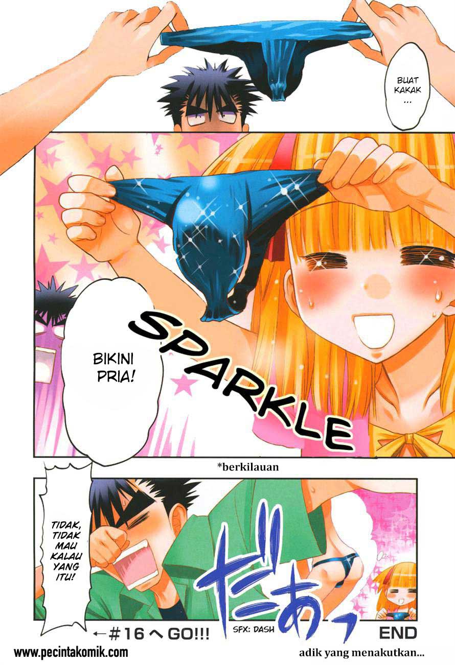 Chapter 15
