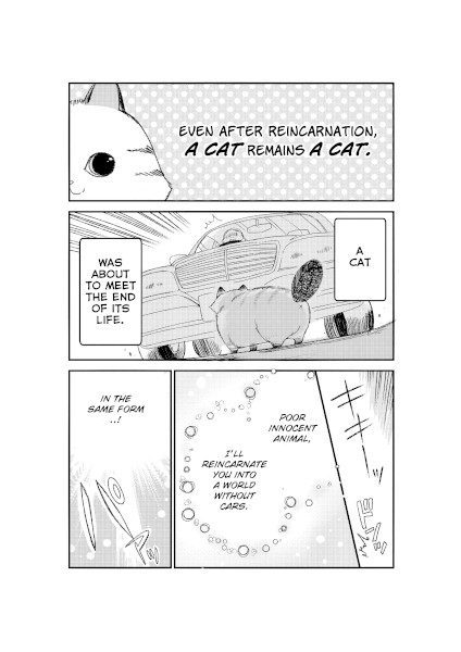 Cover A Story about a Cat Reincarnated in a Different World Where There are no Cats
