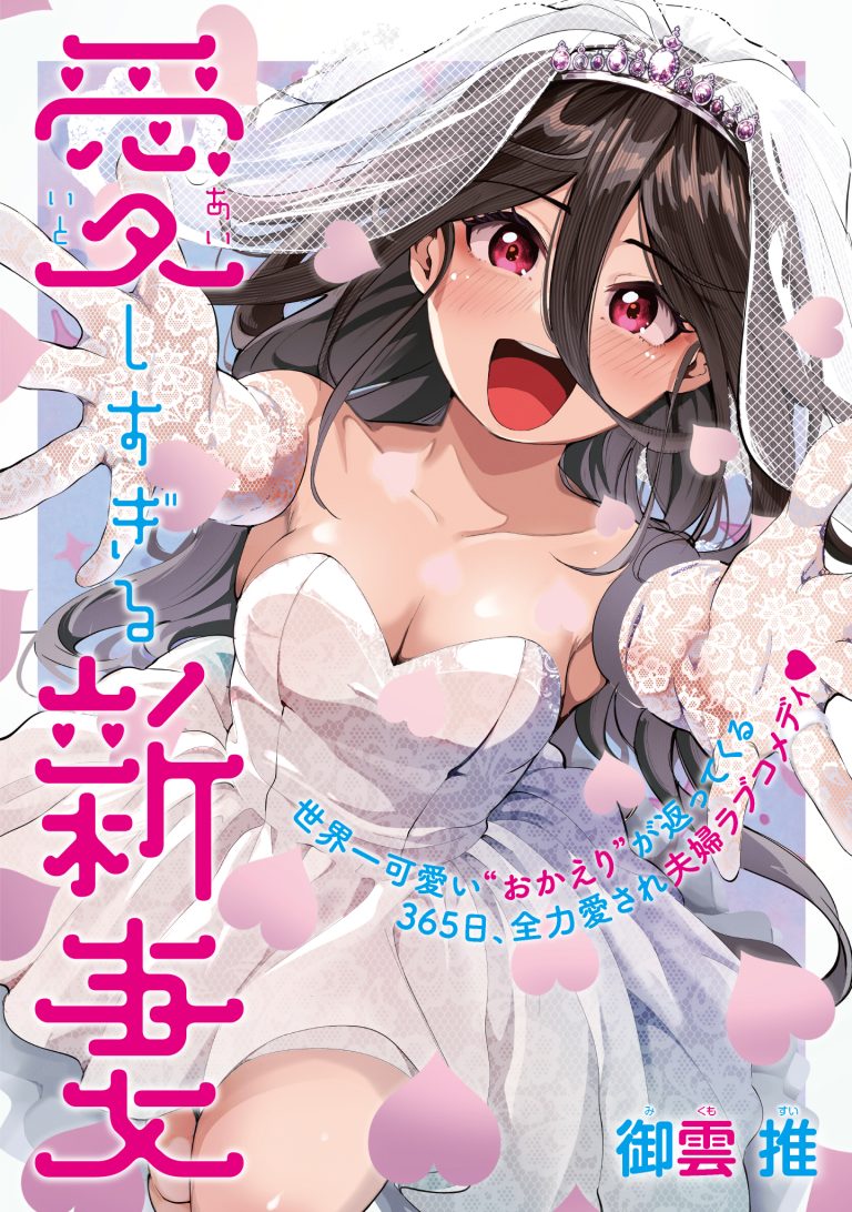 Cover Aishisugiru Niizuma