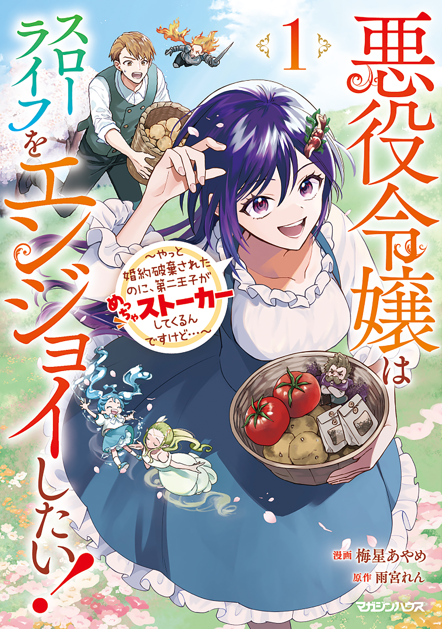 Cover Akuyaku Reijou wa Slow Life wo Enjoy Shitai! – Yatto Konyaku Hakisareta no ni, Daini Ouji ga Meccha Stalker Shitekurun desu kedo