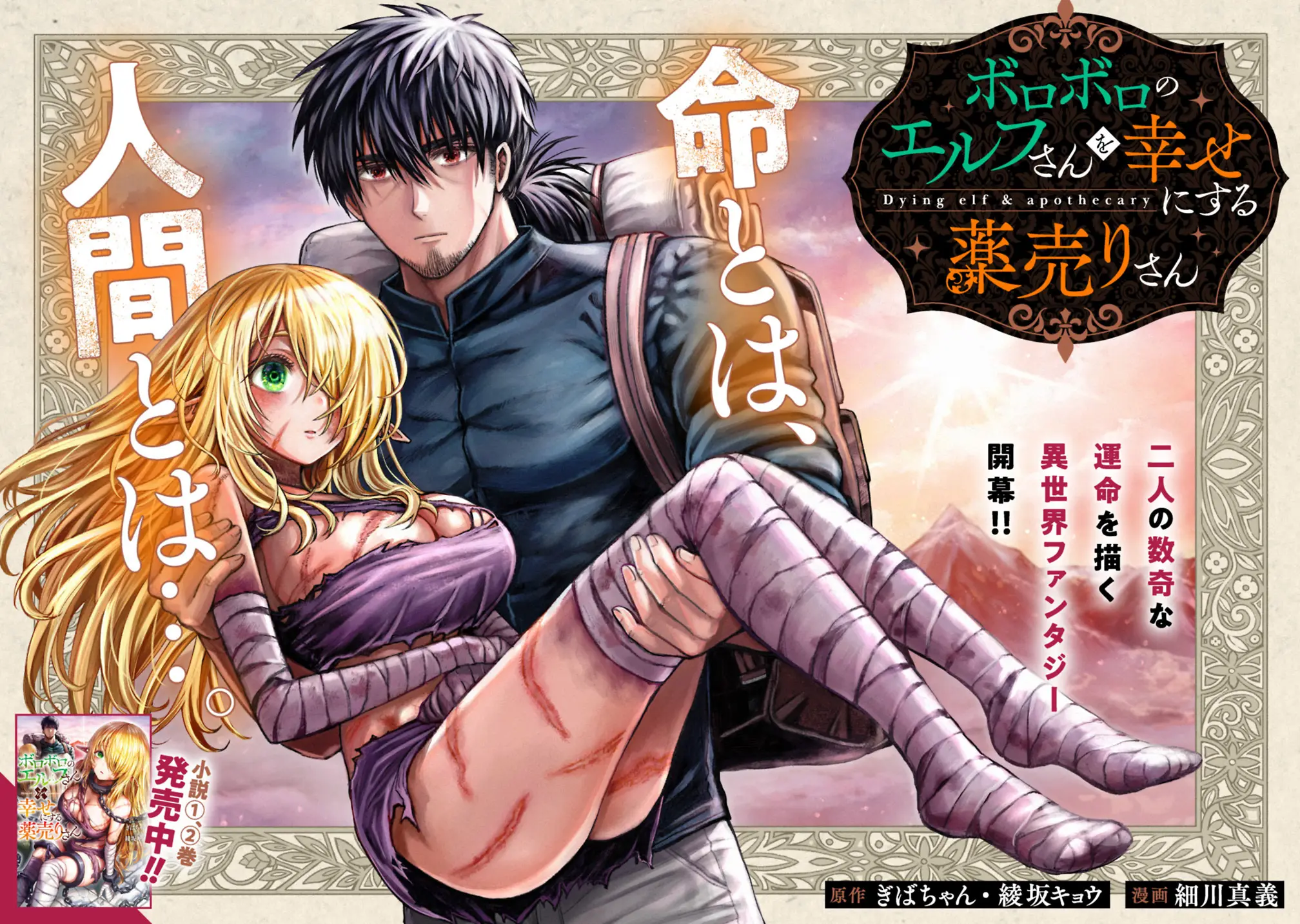 Cover Boroboro no Elf-san wo Shiawase ni Suru Kusuriuri-san