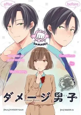 Cover Damage Danshi