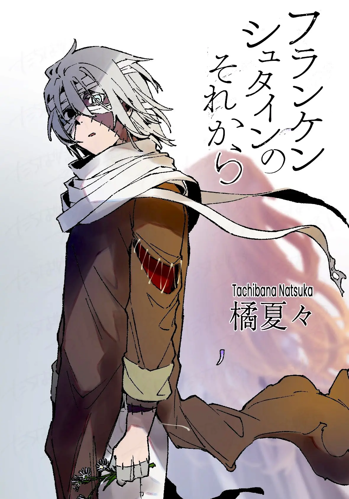 Cover Frankenstein Sore Kara