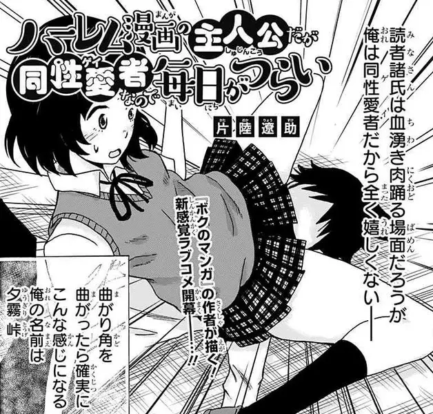 Harem Manga no Shujinkou da ga Gei na Node Mainichi ga Tsurai